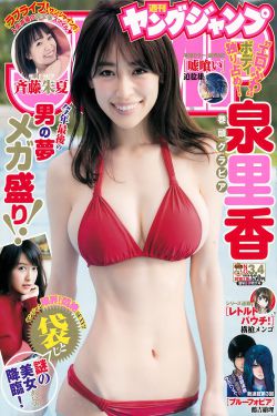 终极斗士1下载